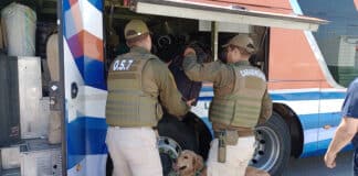 WhatsApp Image 2025 11 28 at 07.49.01