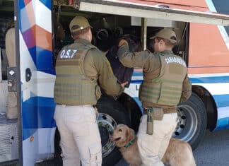 WhatsApp Image 2025 11 28 at 07.49.01