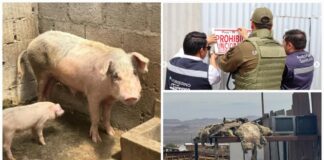 WhatsApp Image 2025 11 29 at 12.57.22