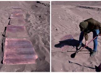 WhatsApp Image 2025 11 29 at 14.04.36