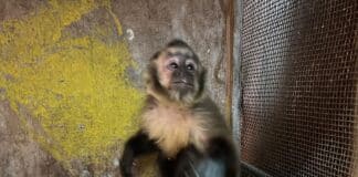 a1da5e00 fb0b 46ac 8774 026bdf9932c3