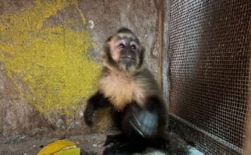 a1da5e00 fb0b 46ac 8774 026bdf9932c3