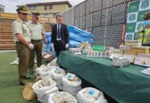 61302a3b 8c6c 44d5 a5f9 09c36aa1968e