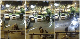 Copia de Collage 3 fotos diario