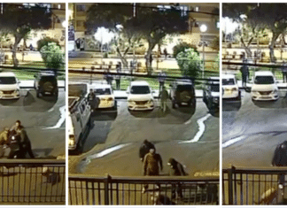 Copia de Collage 3 fotos diario