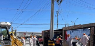 Imagen de WhatsApp 2025 12 02 a las 14.44.14 56c1d567