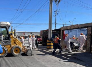 Imagen de WhatsApp 2025 12 02 a las 14.44.14 56c1d567