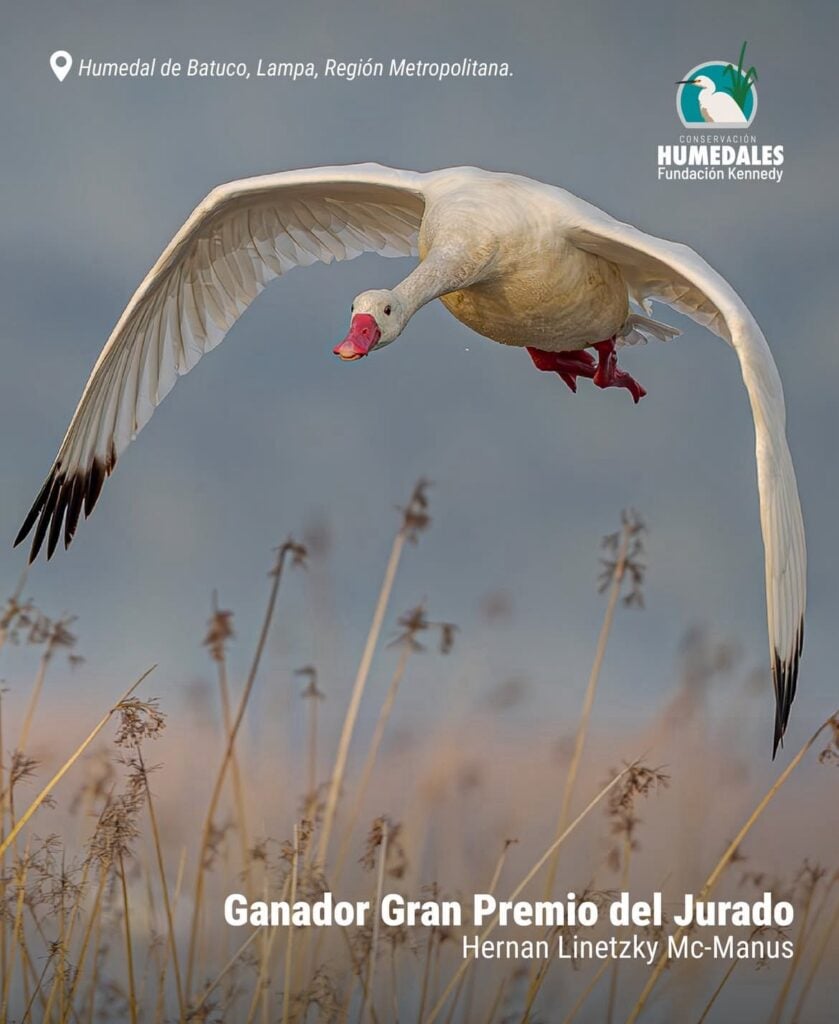 Imagen de WhatsApp 2025 12 06 a las 18.05.23 f34ca143