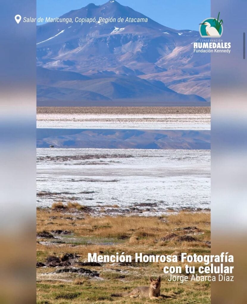 Imagen de WhatsApp 2025 12 06 a las 18.06.57 b5eda090