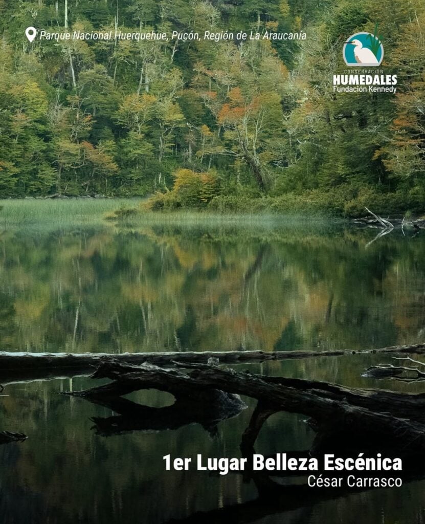 Imagen de WhatsApp 2025 12 06 a las 18.11.06 e511cb76