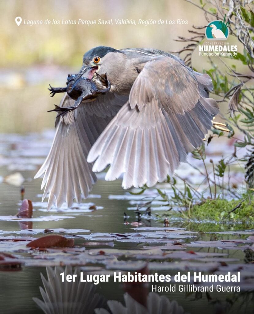 Imagen de WhatsApp 2025 12 06 a las 18.13.35 263060bc