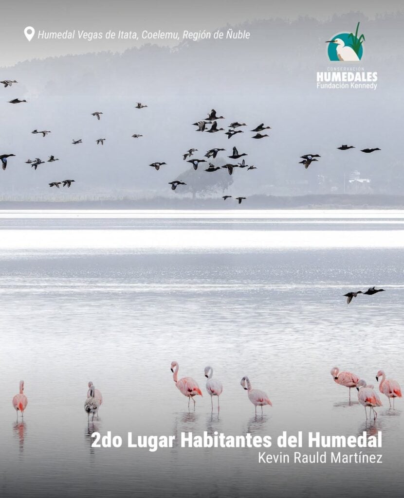 Imagen de WhatsApp 2025 12 06 a las 18.13.35 bbd00ff8