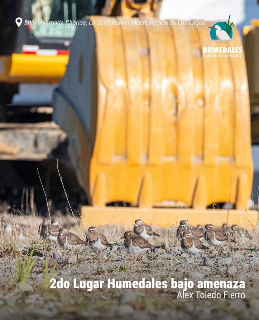 Imagen de WhatsApp 2025 12 06 a las 18.15.51 5cf3f034