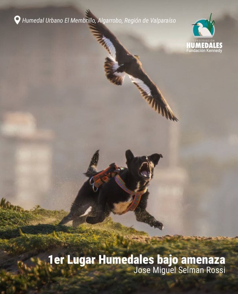 Imagen de WhatsApp 2025 12 06 a las 18.15.51 f8eddb9e