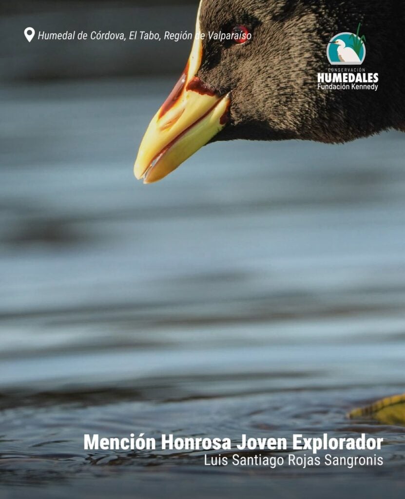 Imagen de WhatsApp 2025 12 06 a las 18.19.14 7d07727d