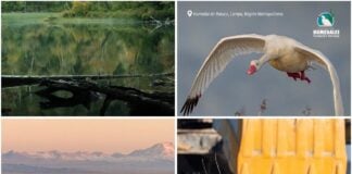 Imagen de WhatsApp 2025 12 06 a las 18.34.10 b91b04f0