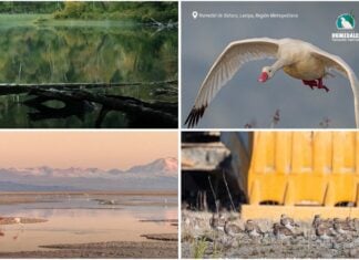 Imagen de WhatsApp 2025 12 06 a las 18.34.10 b91b04f0