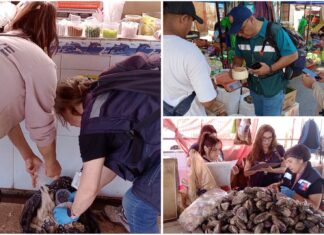 Imagen de WhatsApp 2025 12 07 a las 17.45.54 9b86c54c