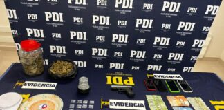 WhatsApp Image 2025 12 03 at 17.47.21