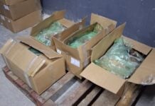 fiscalizacion planta tocopilla3