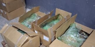 fiscalizacion planta tocopilla3