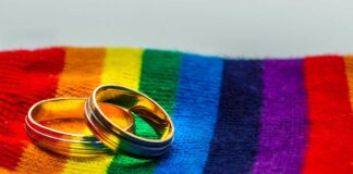 movilh matrimonio igualitario 1