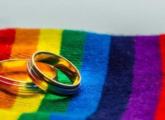 movilh matrimonio igualitario 1