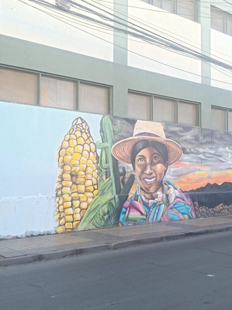 WhatsApp Image 2026 03 09 at 9.10.57 PM 2