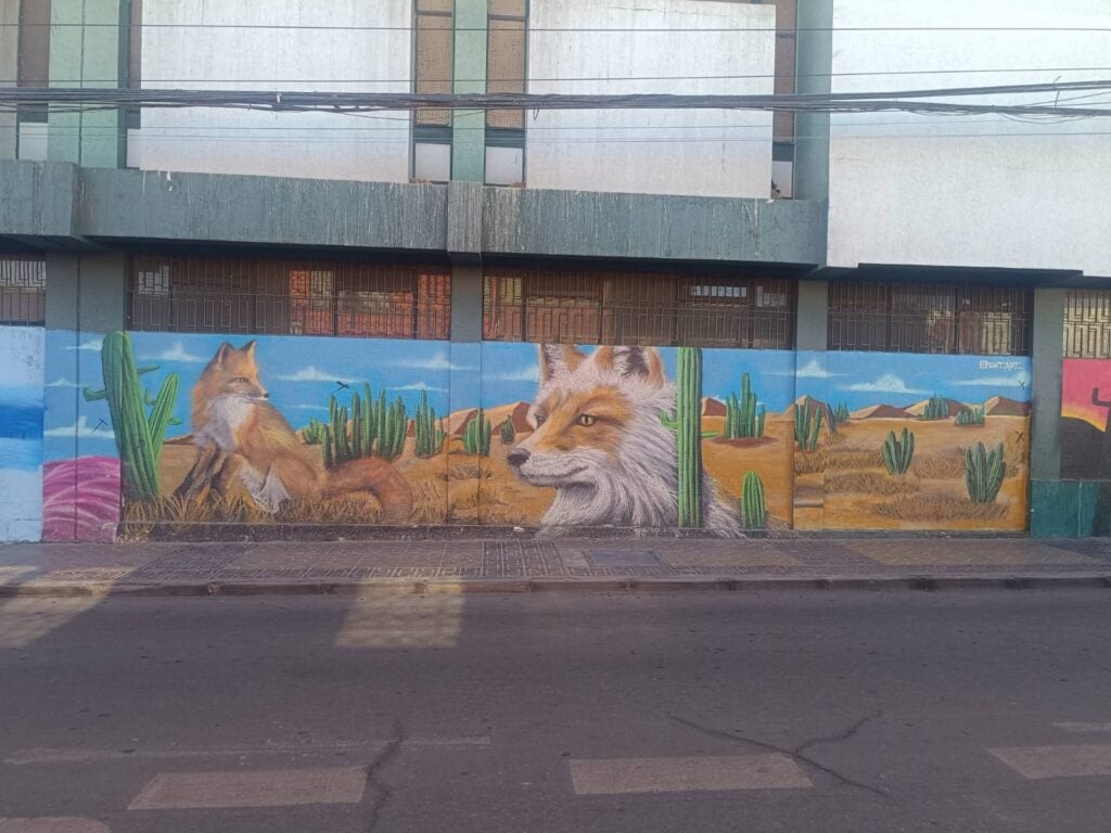 WhatsApp Image 2026 03 09 at 9.10.58 PM