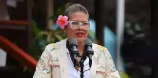 “Licencia Retroactiva”: Gobierno “pausaría” la remoción de directora de Sernameg Aton 1126139