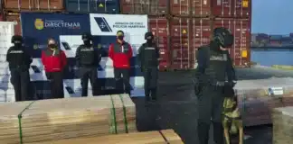 Caso “Narco Madera”: Empresa de Bolivia se defiende y apunta al procedimiento investigativo en Chile 61