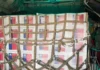 Ayuda Humanitaria: Chile envió 6 toneladas de alimentos no perecederos a Bolivia 722408919 1340577334875620 1974765510674789094 n