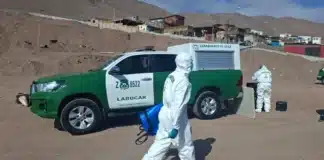 Encuentran a una persona fallecida al interior de un vehículo en Antofagasta
