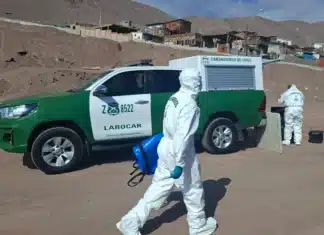 Encuentran a una persona fallecida al interior de un vehículo en Antofagasta 40fd3671 1ebd 452b 96ba 0c02489c1bac large standard q100